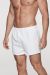 Rugby Mens Shorts