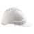 BLACK DOG INSTITUTE V6 HARD HAT