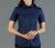 Nicholson Womens Premium Poplin Short Sleeve Shirt