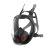 FORCE TYPHOON 10 FULL FACE RESPIRATOR SMALL