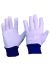 Cotton Drill Blue Knit Wrist Gloves